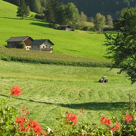 Apartment Spisserhof *